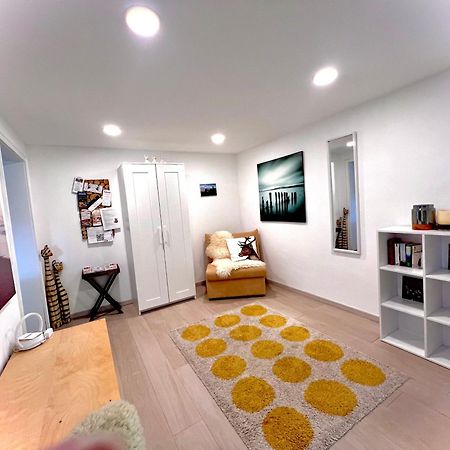 Schwarzwald Boutique-Apartment Haus Rehgarten Гагенау Екстериор снимка